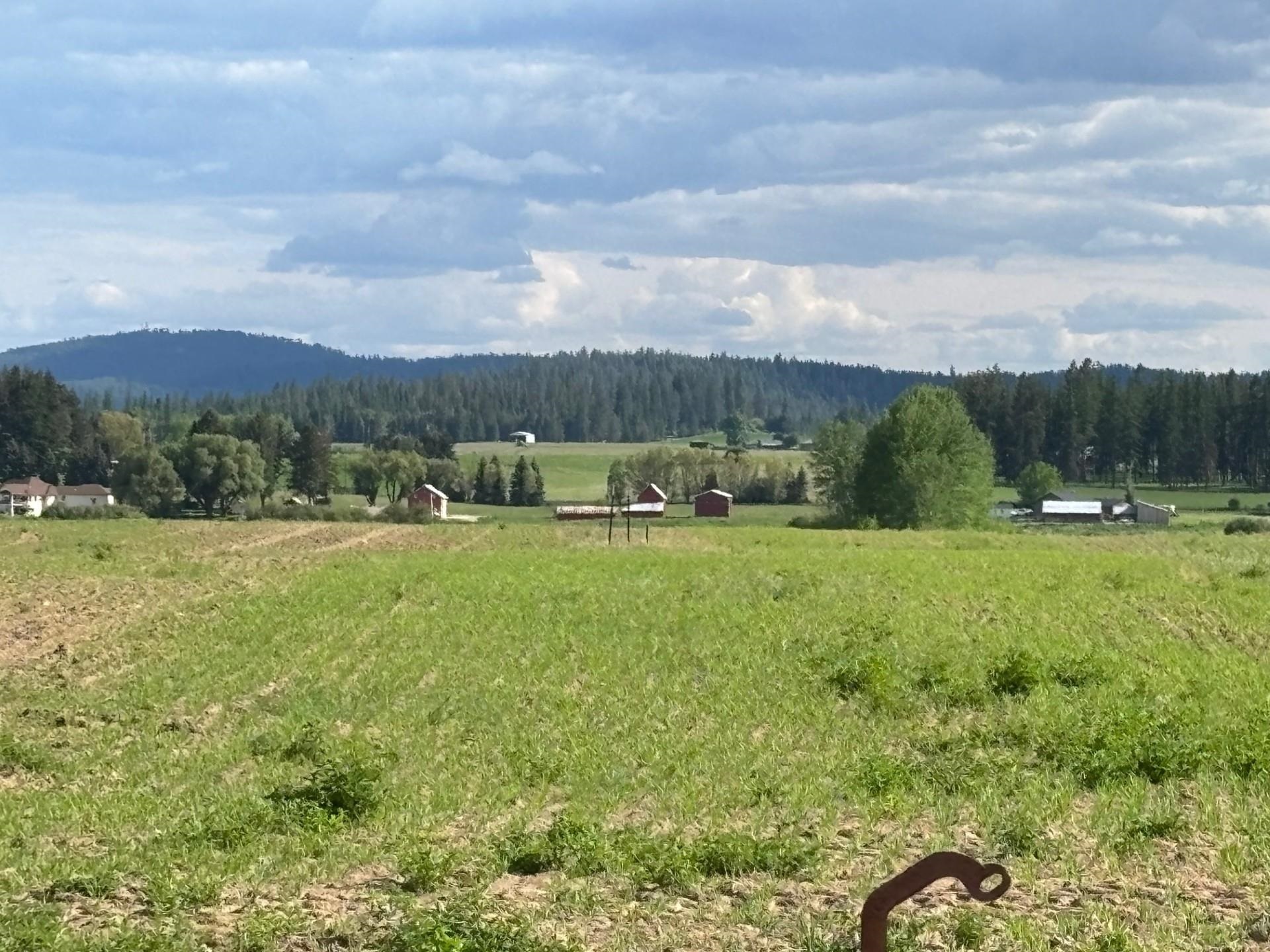 Property Photo:  Xxxx Bittrich-Antler Rd  WA 99006 