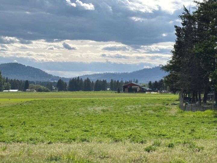 Property Photo: 46xx Bittrich-Antler Rd WA 99006
