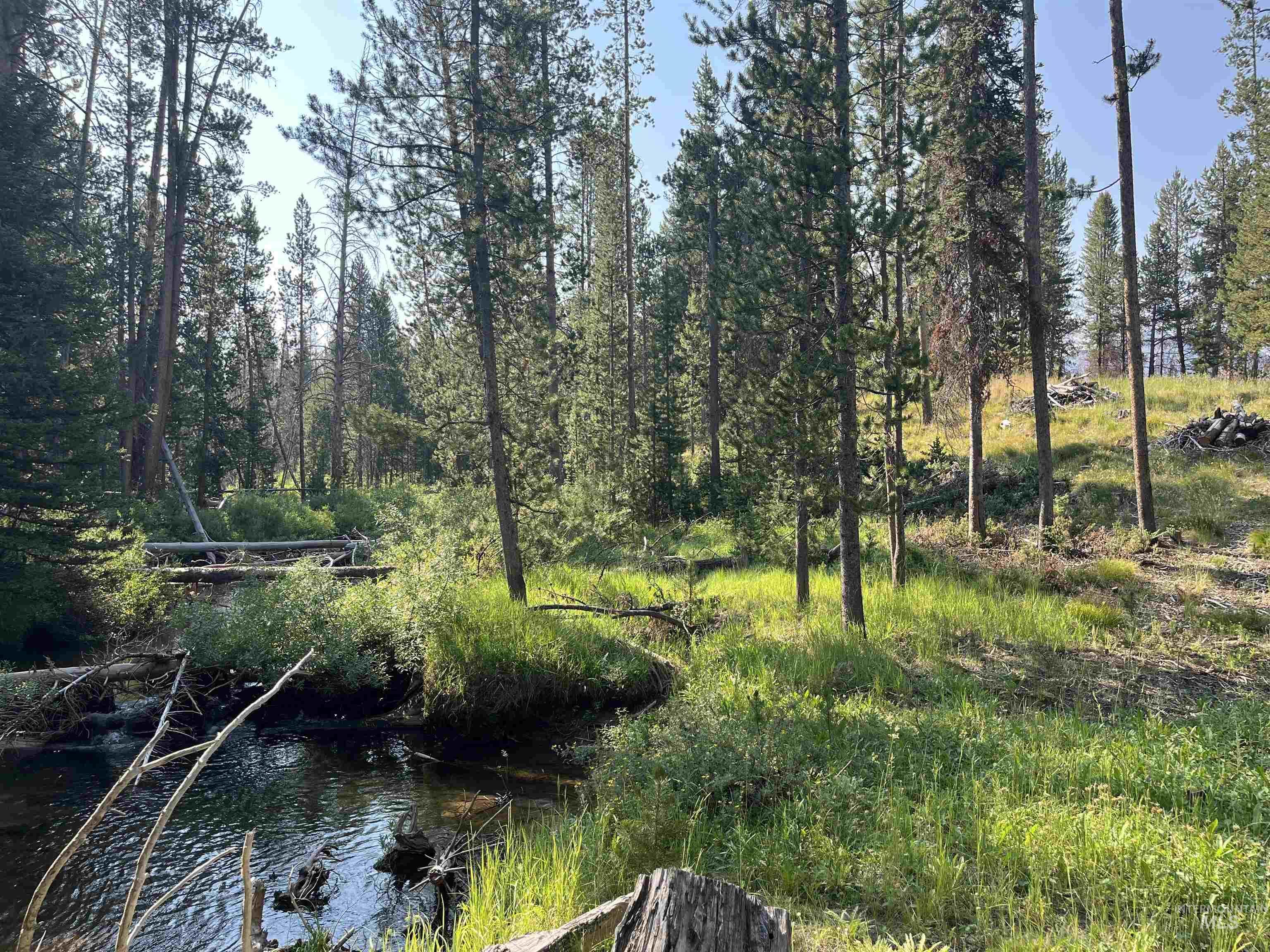 Property Photo: 773 Smiley Creek Rd ID 83340