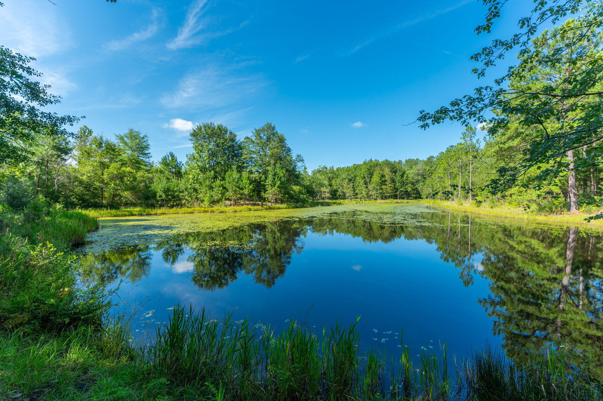 Property Photo: 139 Acres Yorkey Road FL 32464