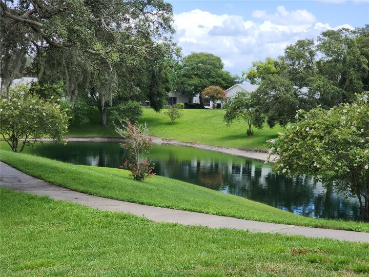 Property Photo:  11653 Orleans Lane  FL 34668 
