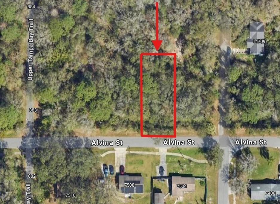 Property Photo: 0 Alvina Street FL 33625