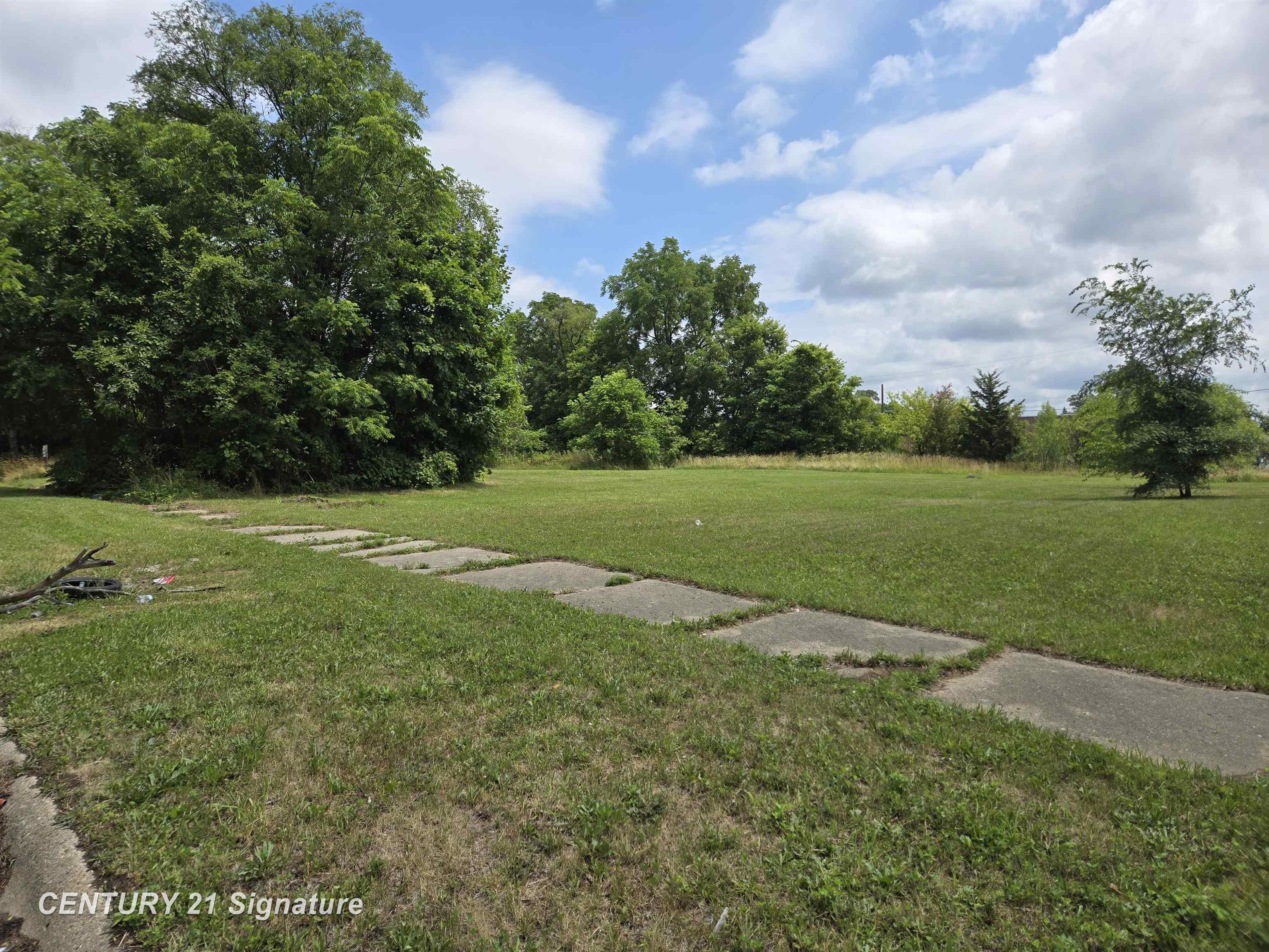 Property Photo:  Donaldson Street  MI 48504 