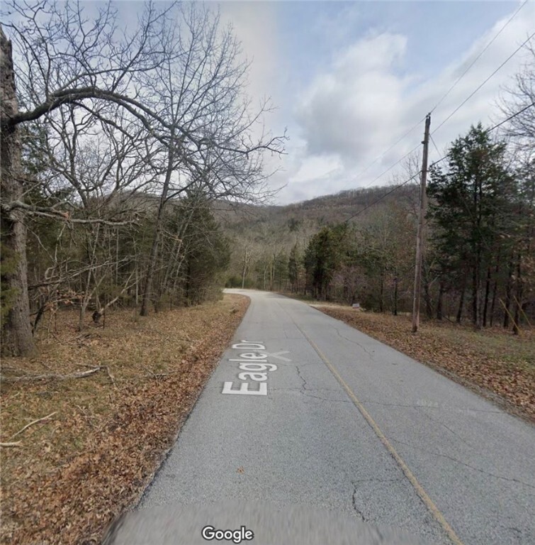 Property Photo:  57 Eagle Drive  AR 72631 