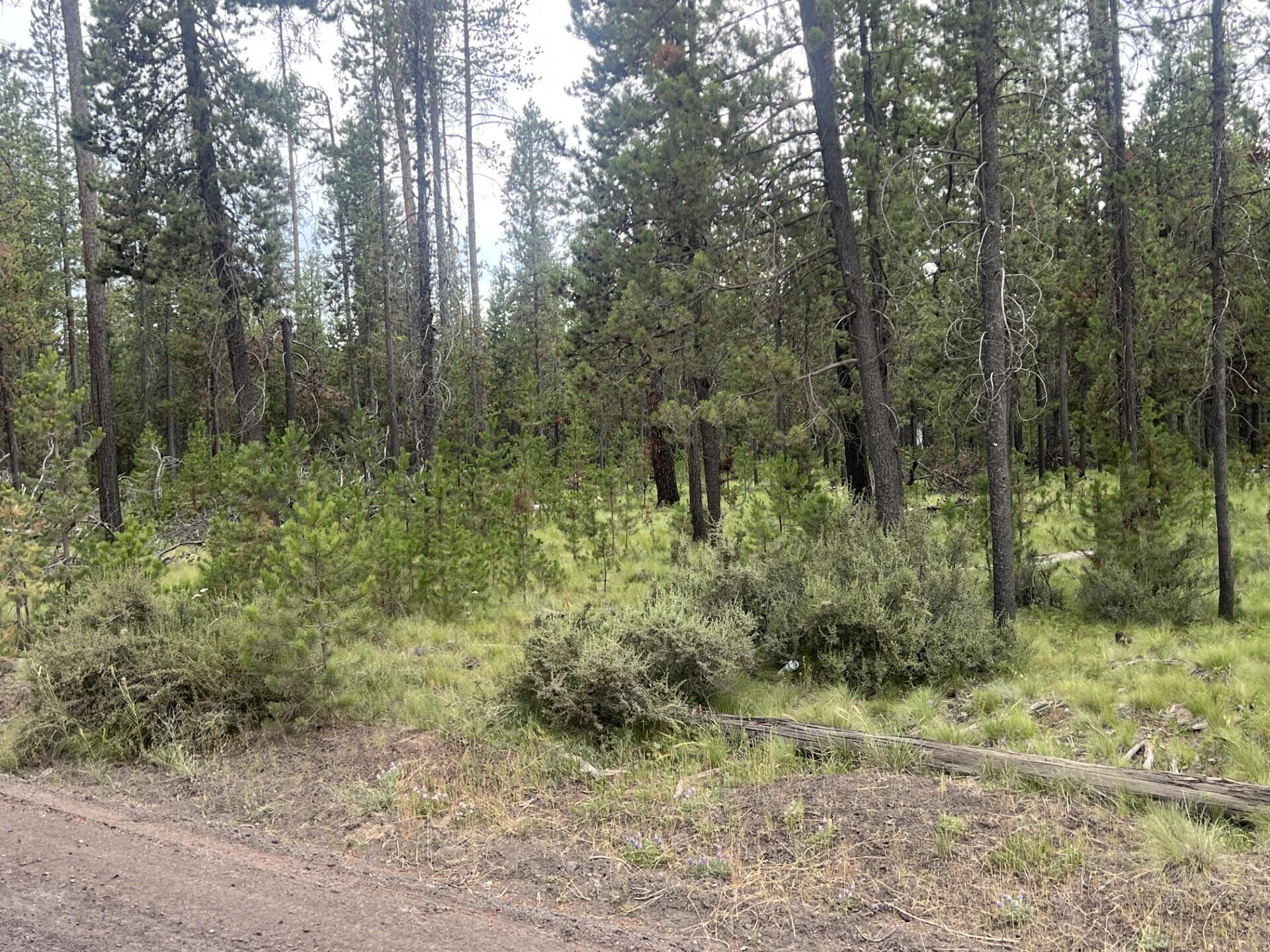 Property Photo: 55975 Savage Drive OR 97707