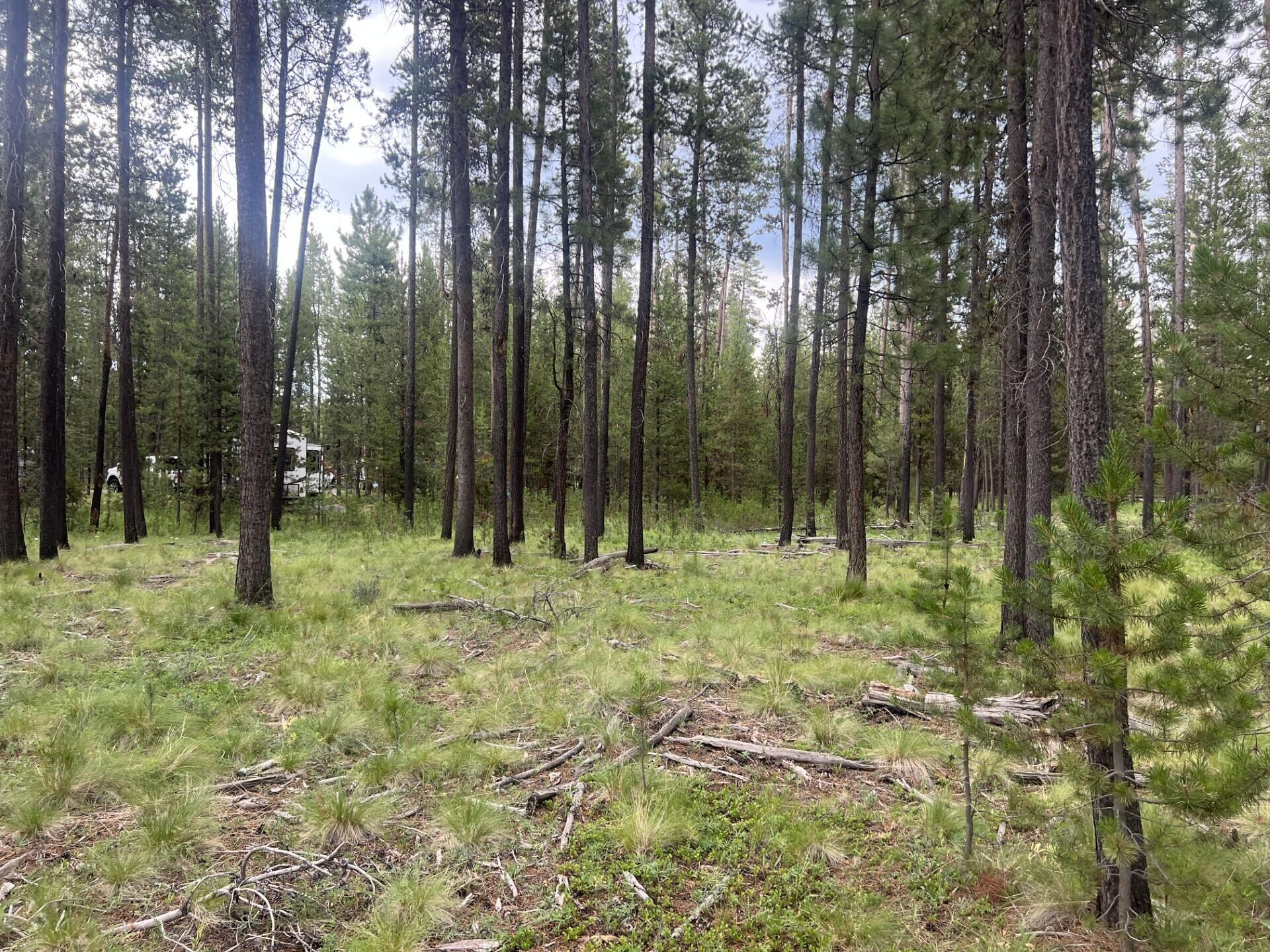 Property Photo: 55975 Savage Drive OR 97707