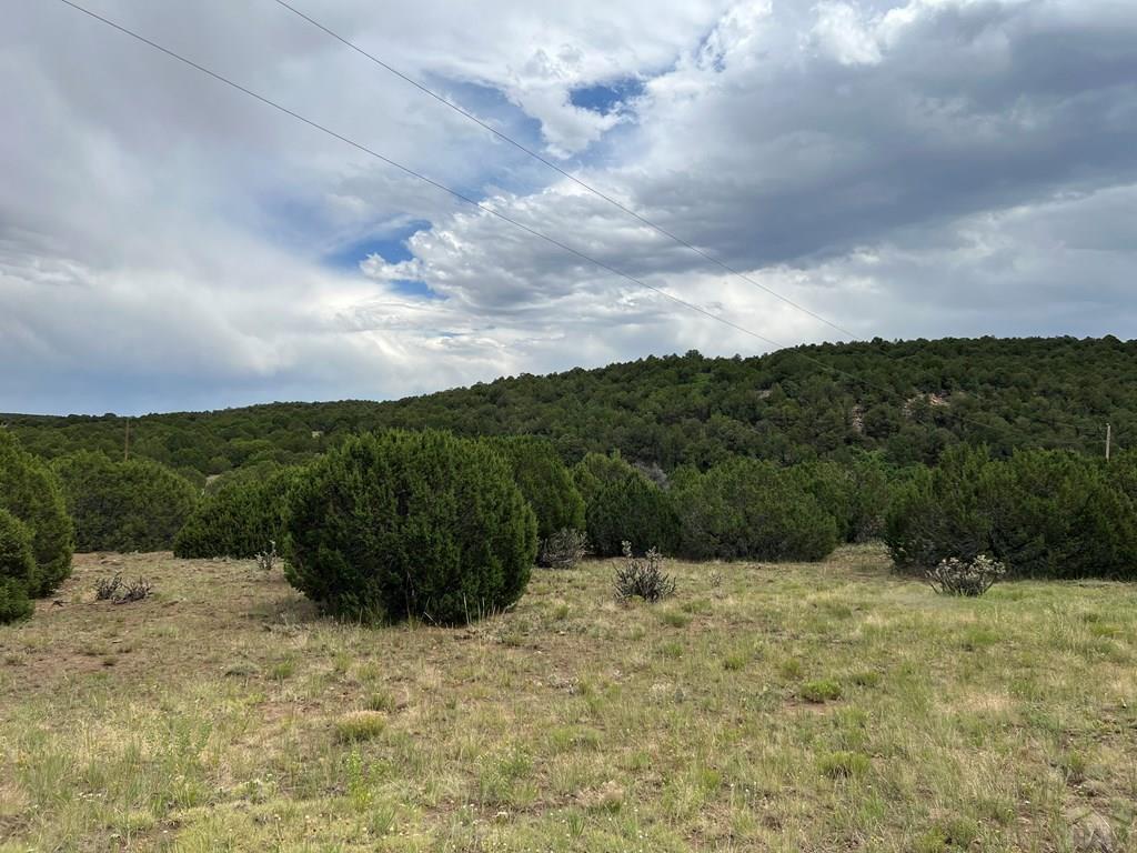Property Photo: 0 Sunrise Dr CO 81089