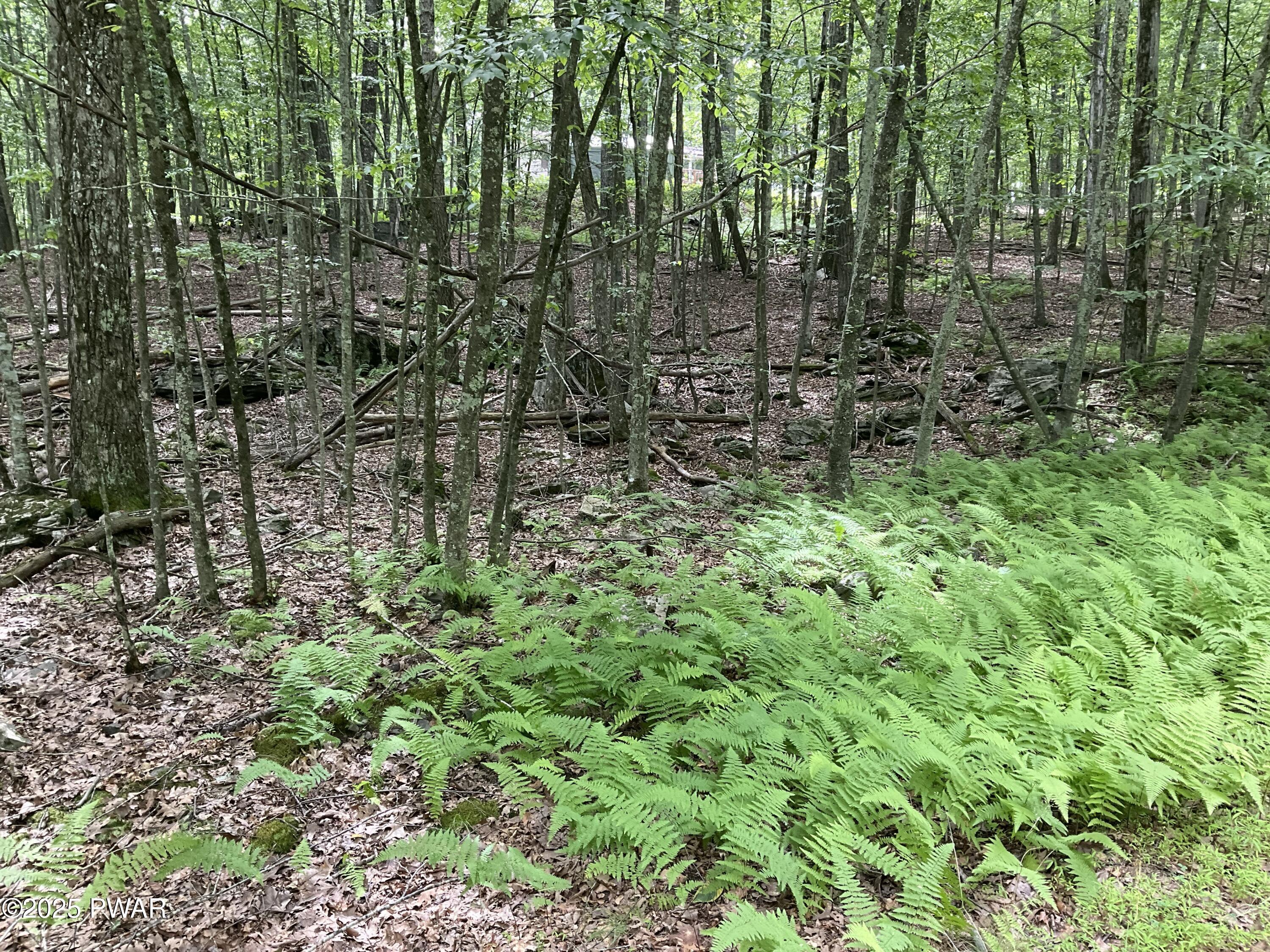 Property Photo: Lot 92 Stone Drive PA 18428