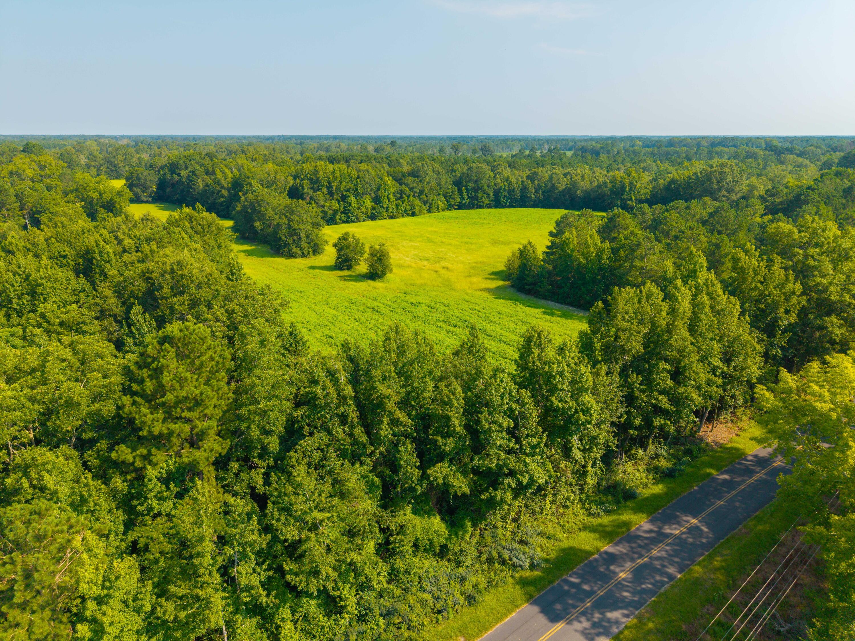 Property Photo:  0 Two Church Road  SC 29018 