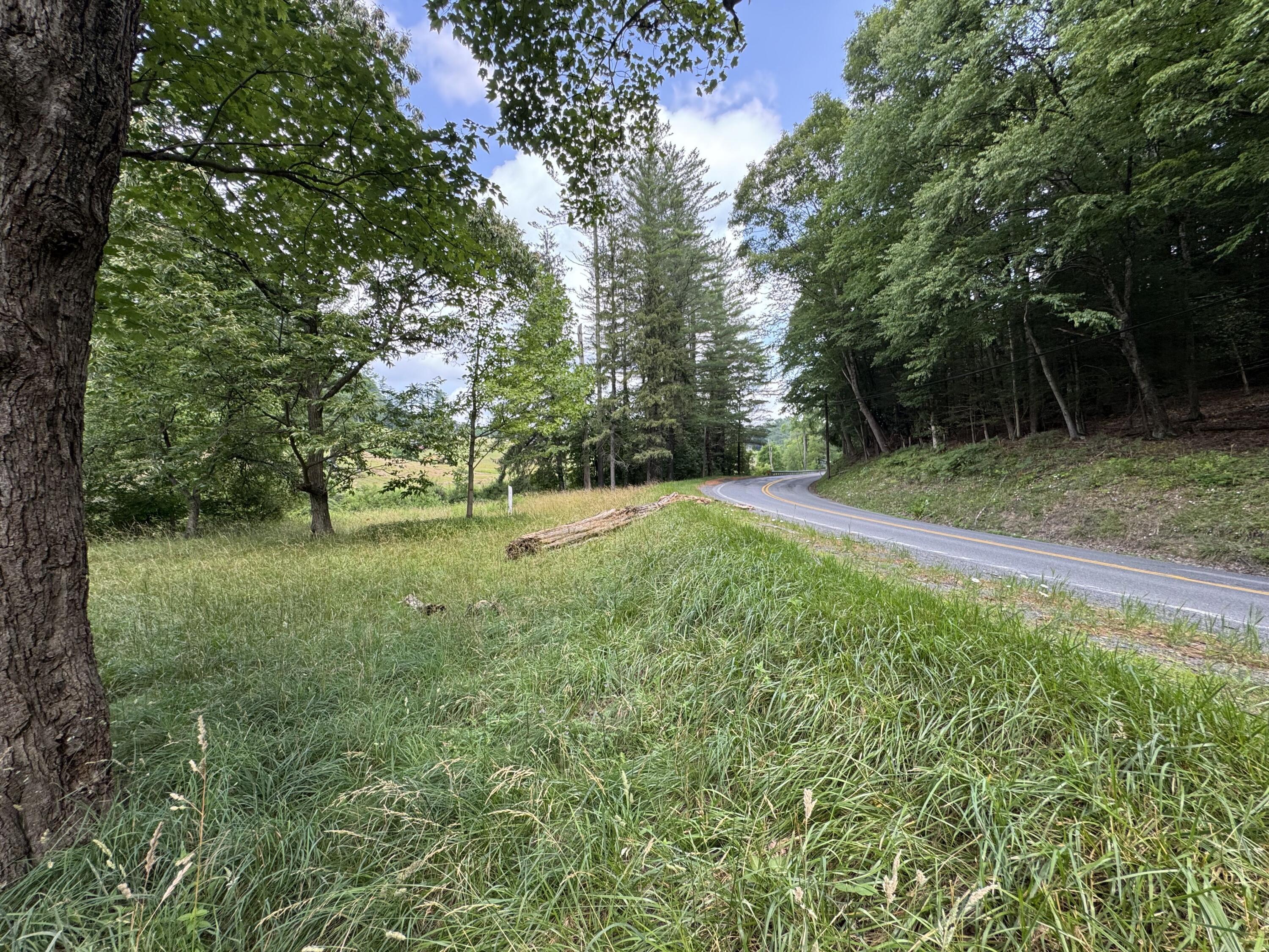 Property Photo: 5298 Leivasy Rd WV 26676