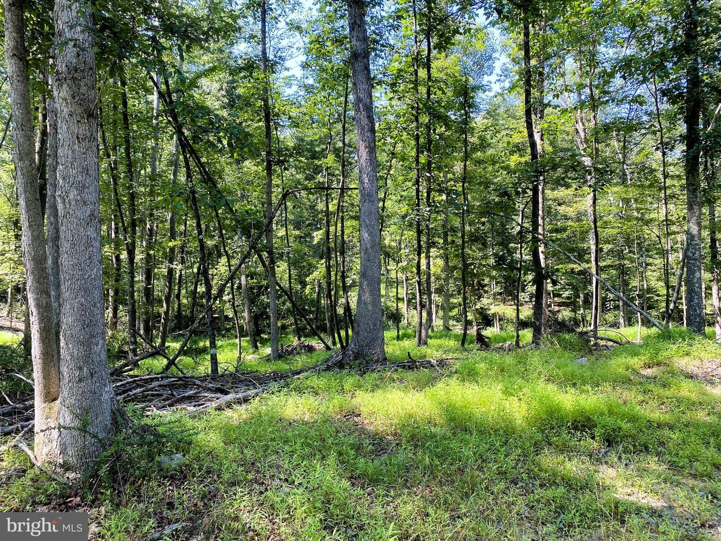 Property Photo:  11115 Hinkle Road NE  MD 21502 