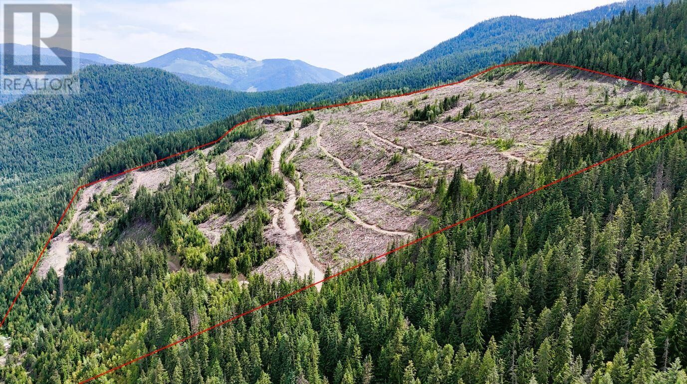 Property Photo:  Quartz Creek Forest Service Road Road  BC V0G 2K0 
