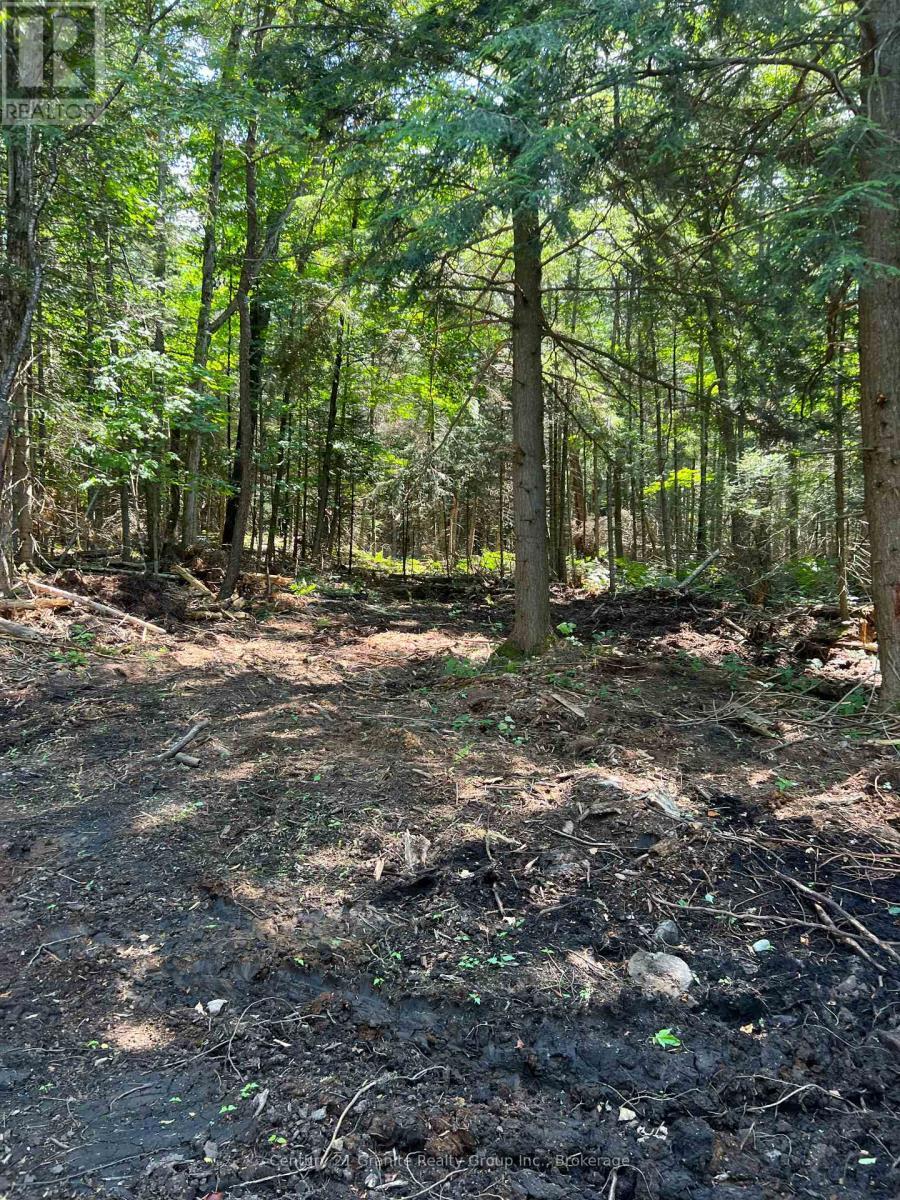 Property Photo:  Lot 29 West Court  ON K0M 1S0 