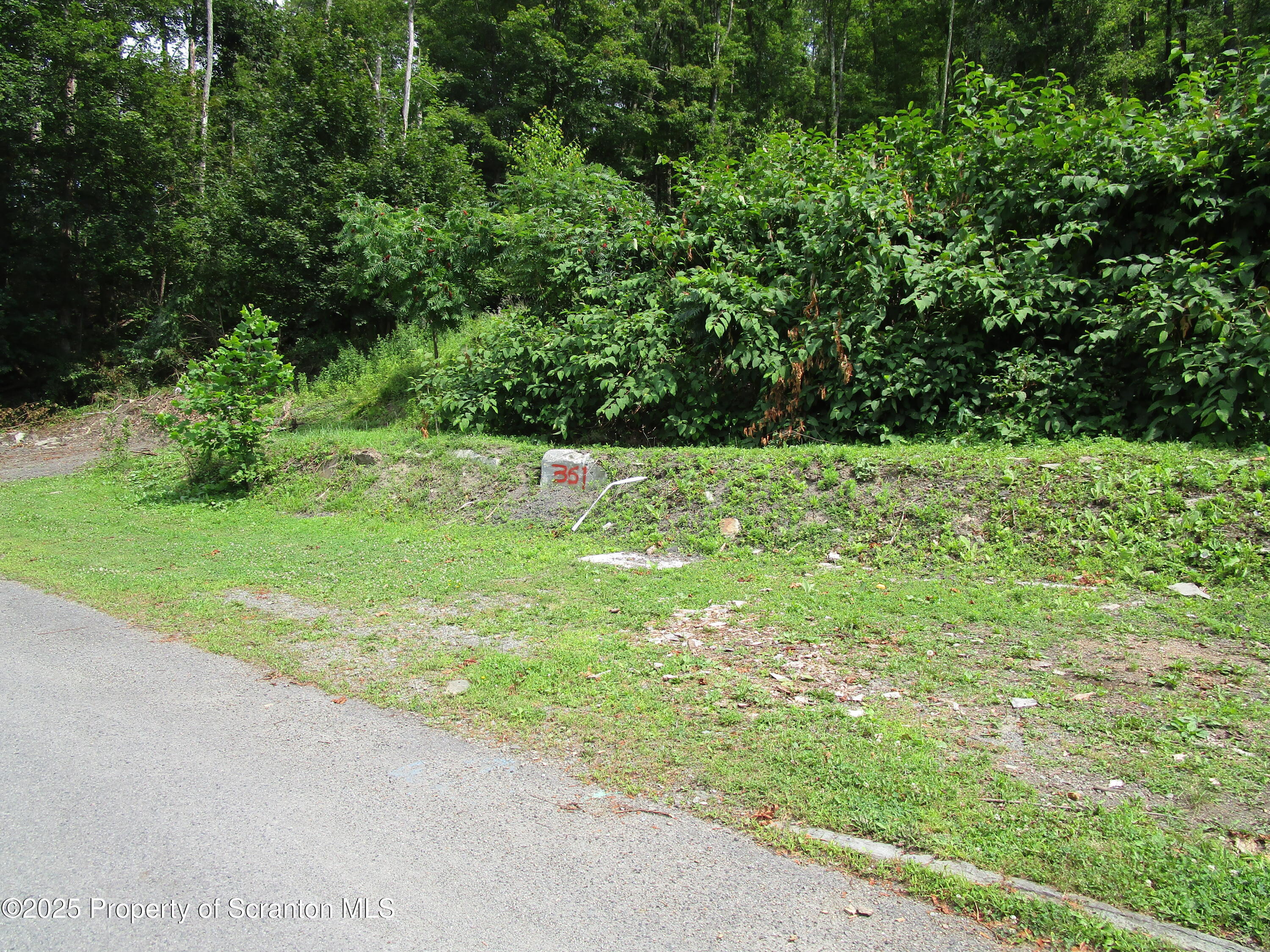 Property Photo: 351 Prospect Street PA 18847
