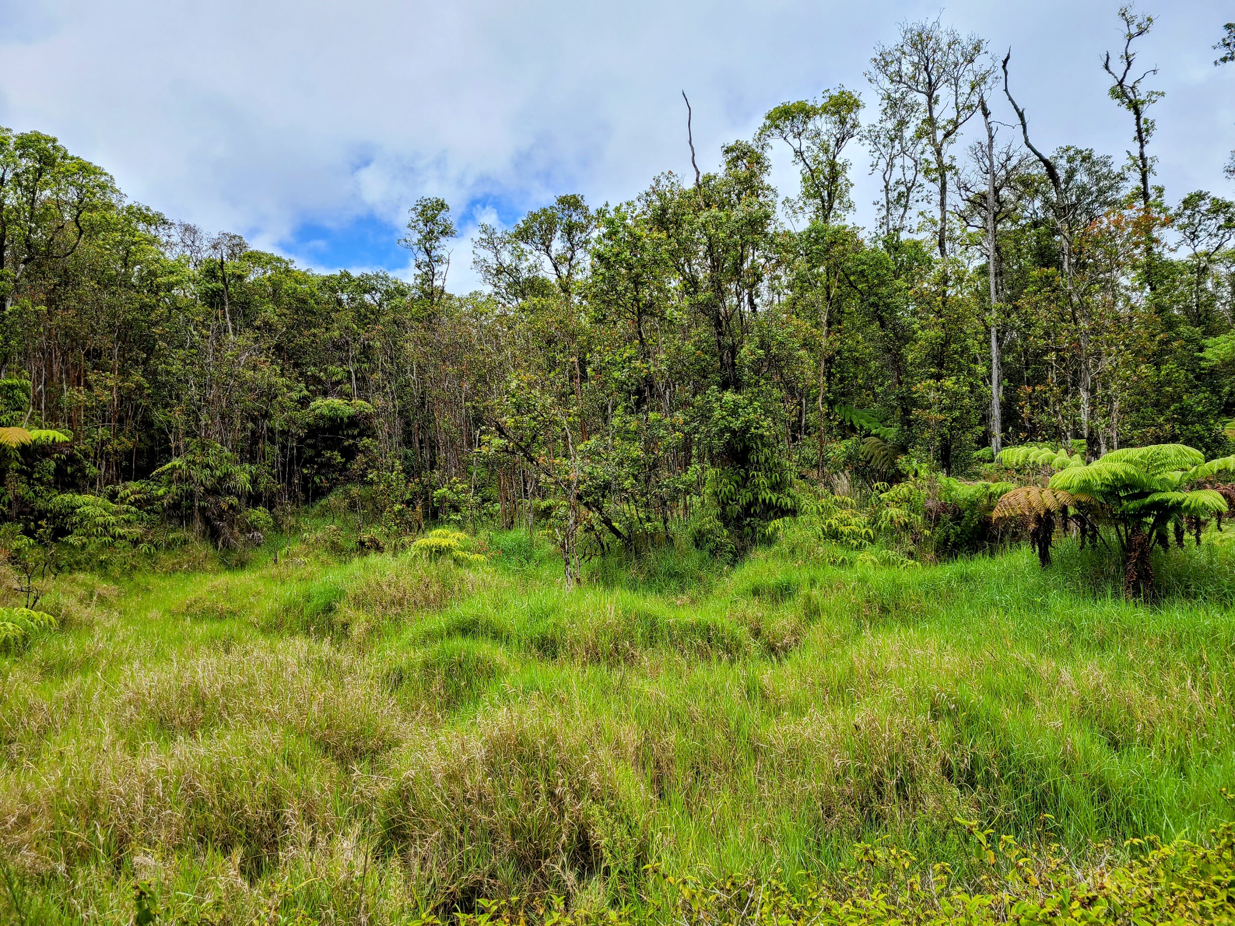 Property Photo:  Road 7  HI 96785 