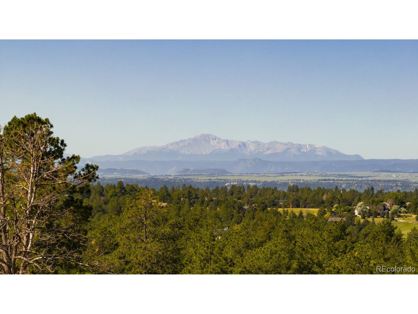 Property Photo:  10276 Pine Song Place  CO 80138 