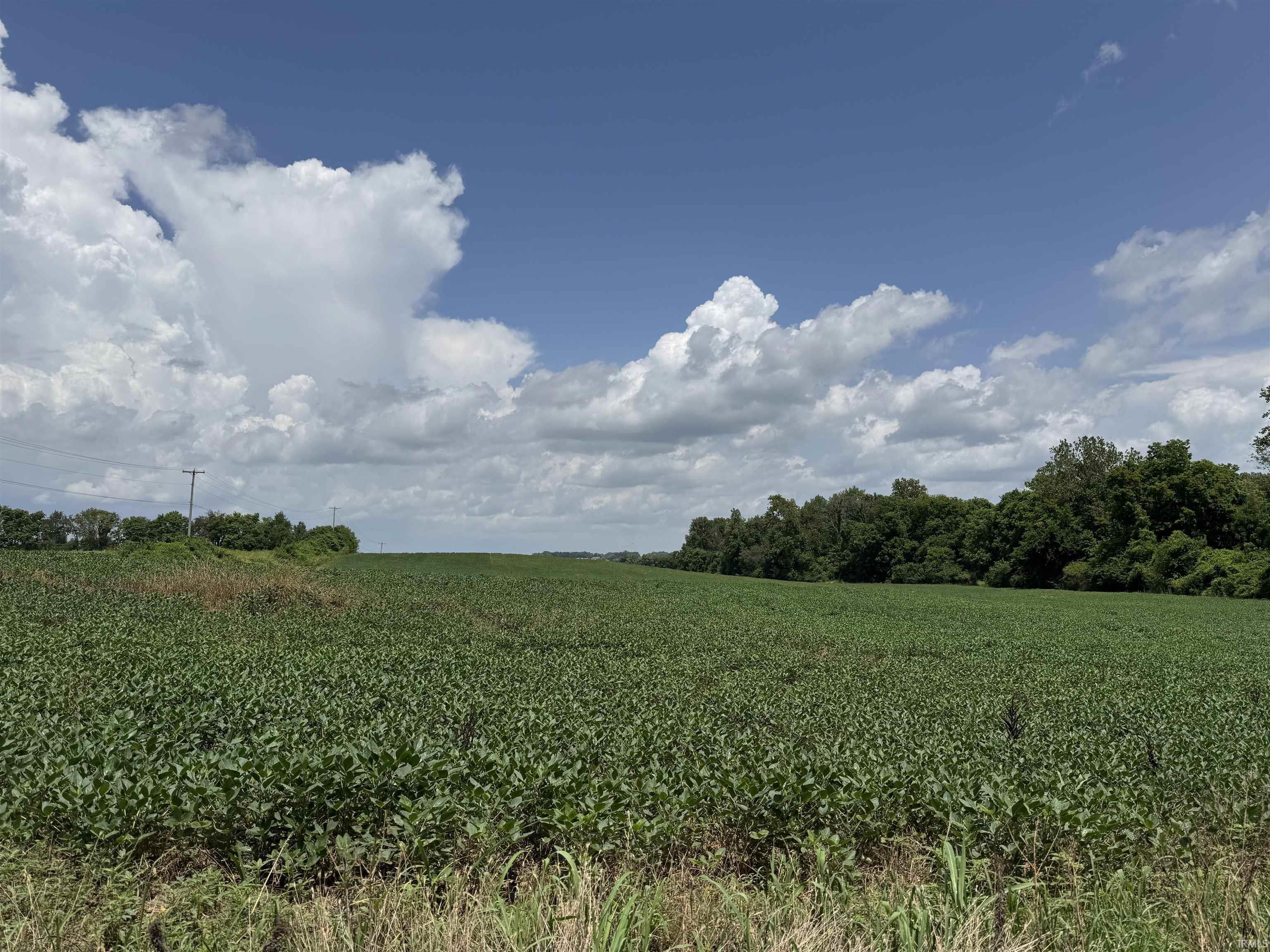 Property Photo:  W 50 S  IN 47670 