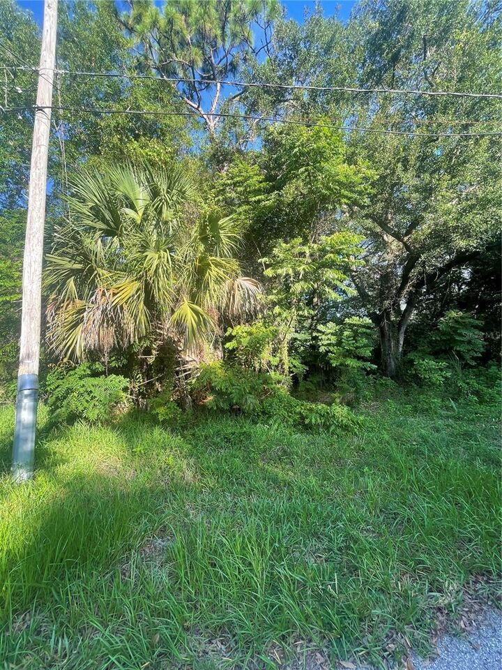 Property Photo: 4054 N Sun Dance Point FL 34428