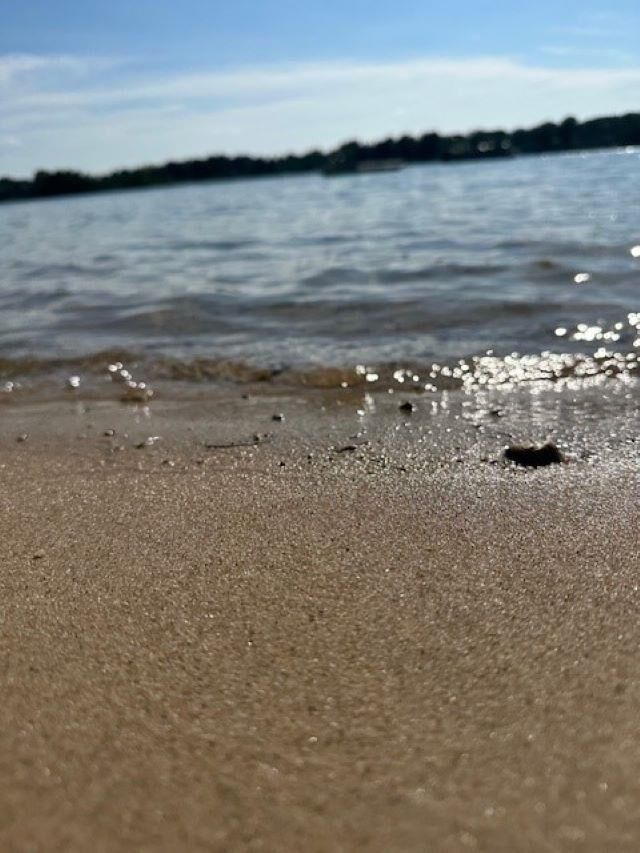 Property Photo: 0000 Lake Drive MI 49685