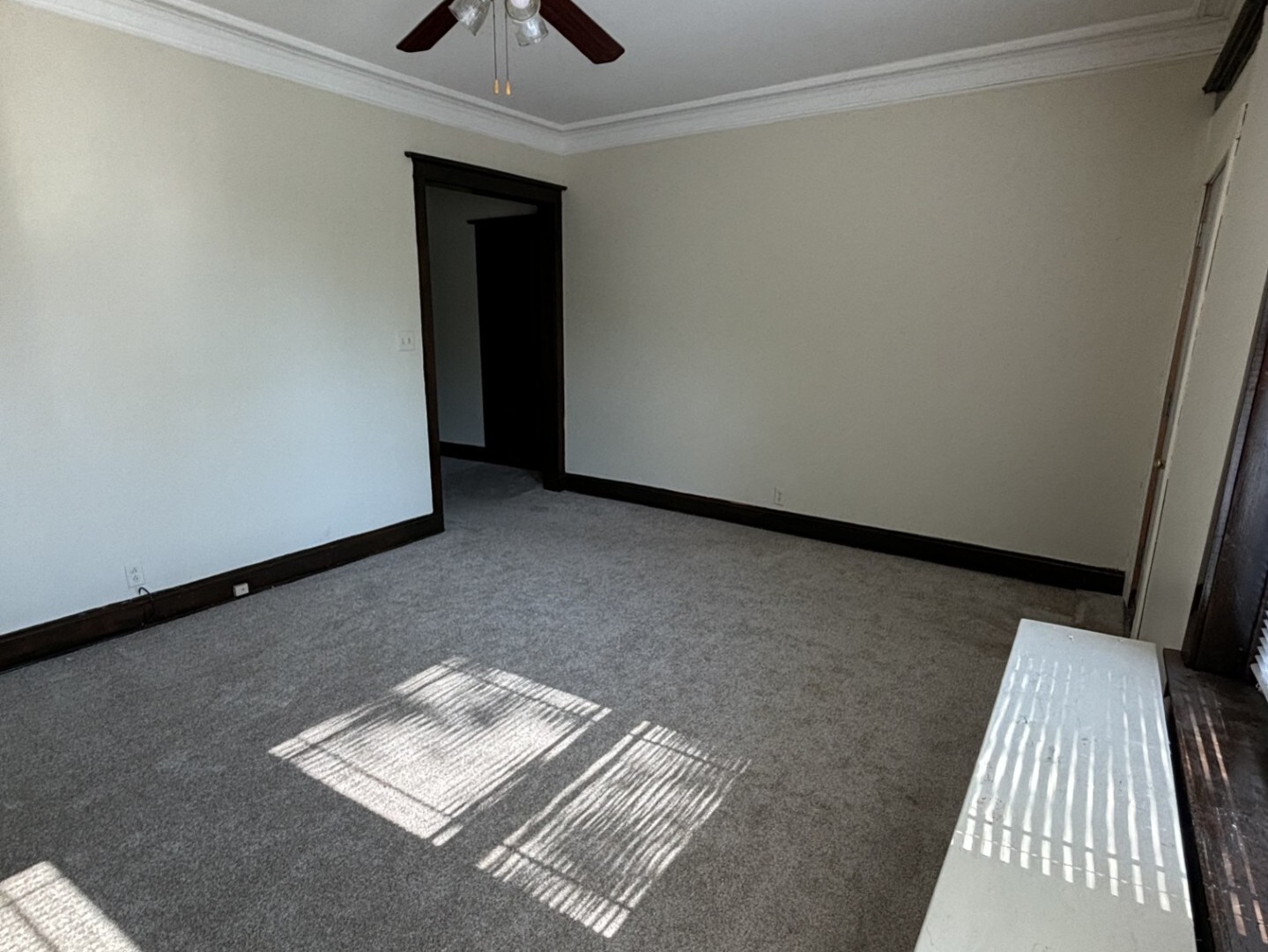 Property Photo: 6211 S Drexel Avenue 2N IL 60637
