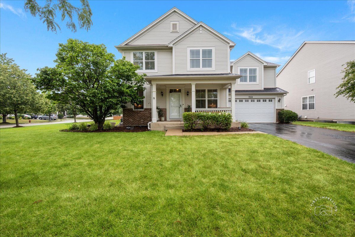 Property Photo:  733 Market Drive  IL 60543 
