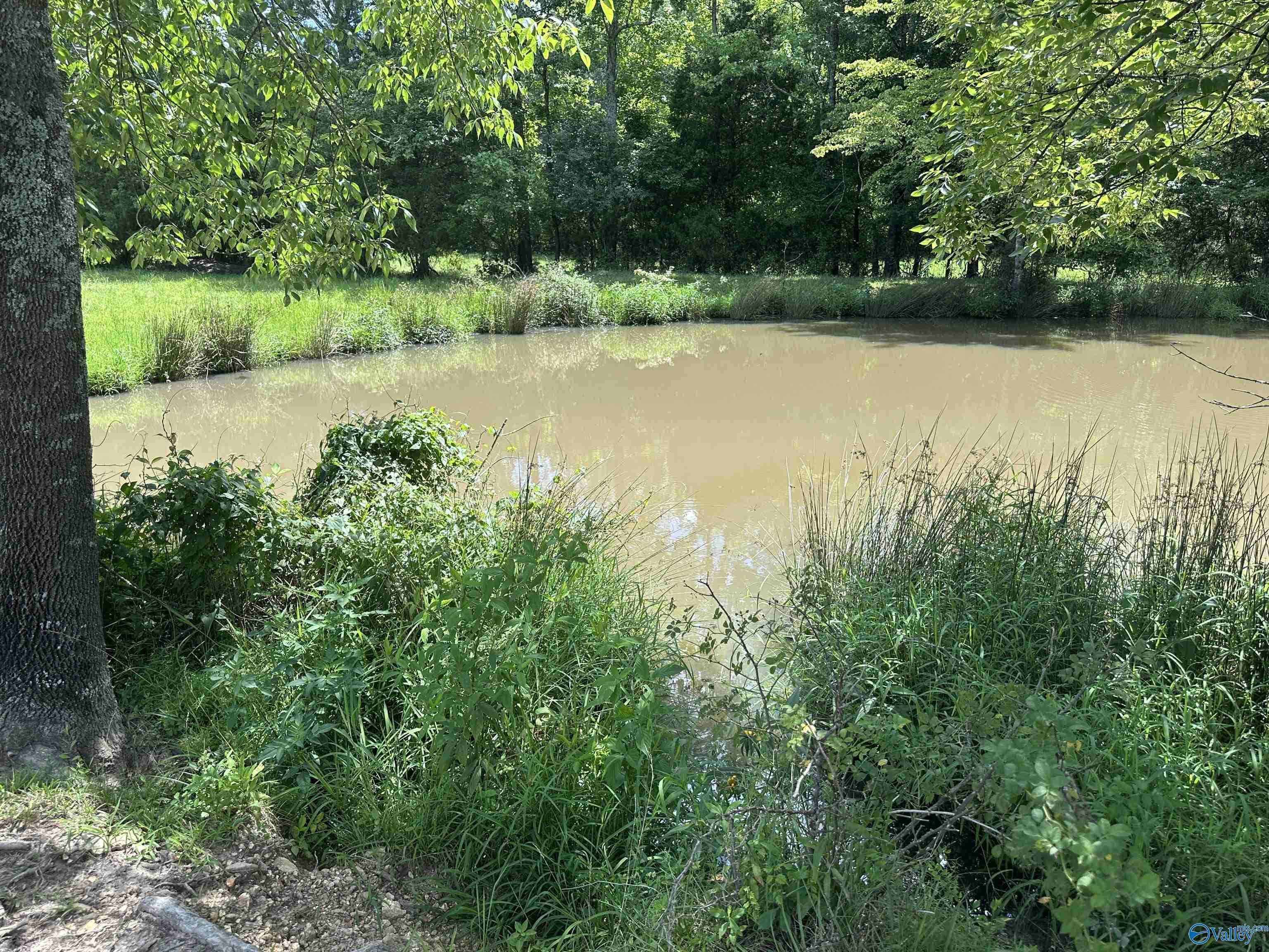 Property Photo: 9.1 Ham Road AL 35611