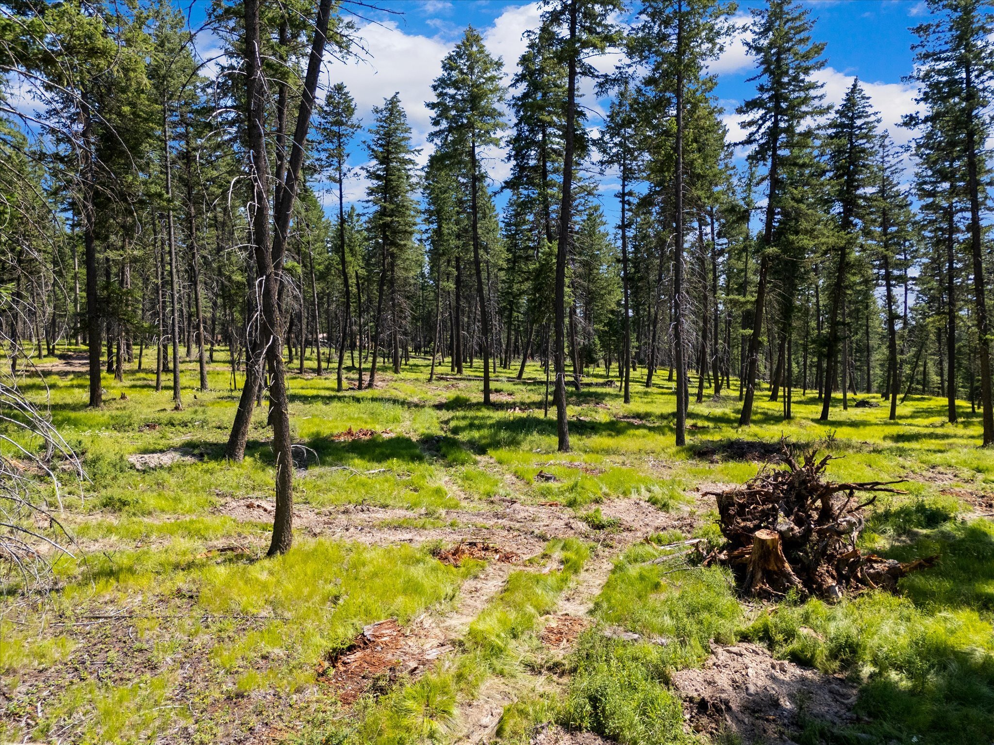 Property Photo: 4554 US Hwy 93 S MT 59937
