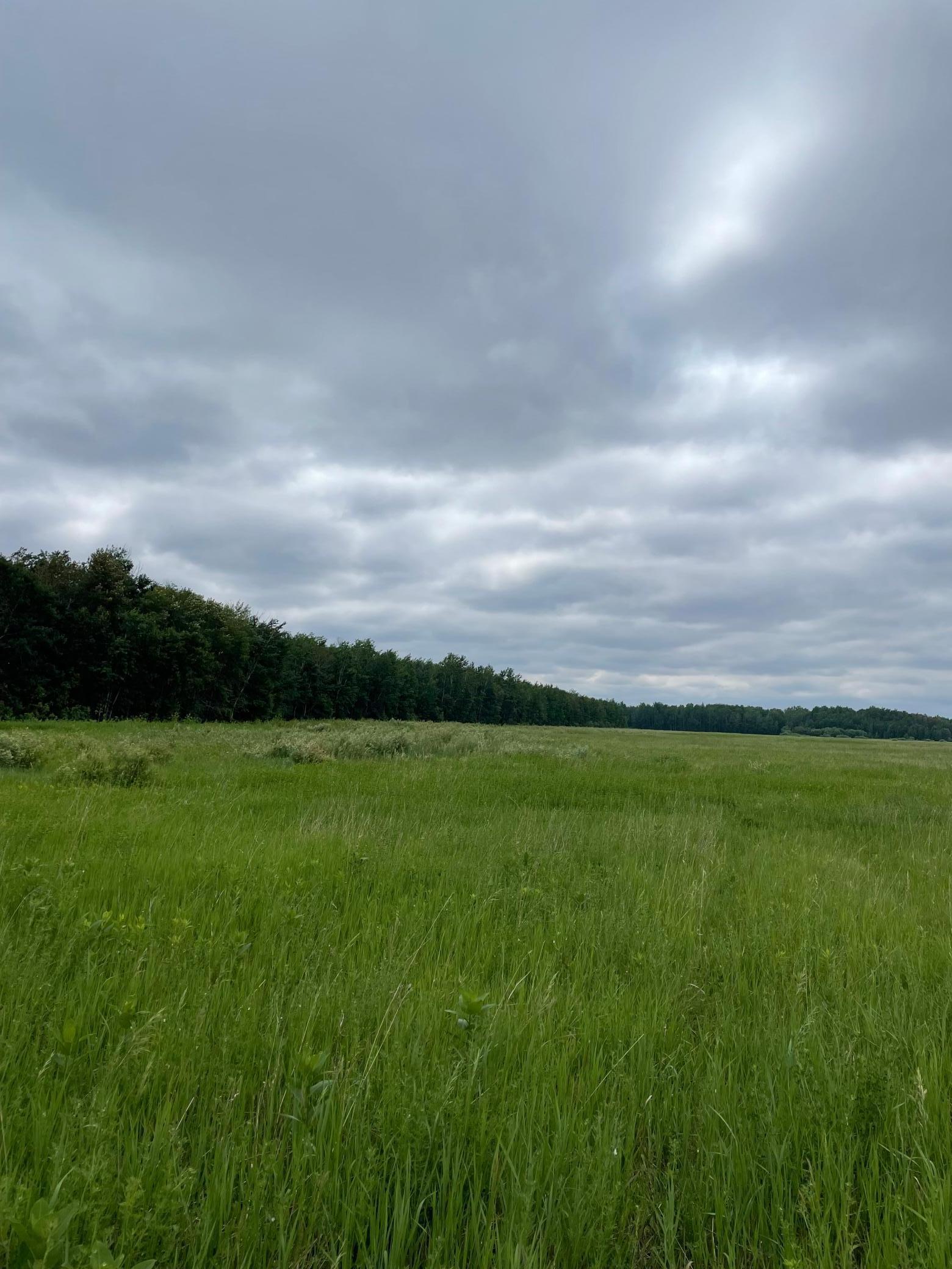 Property Photo: 15904 Shoreline Drive NE MN 56685