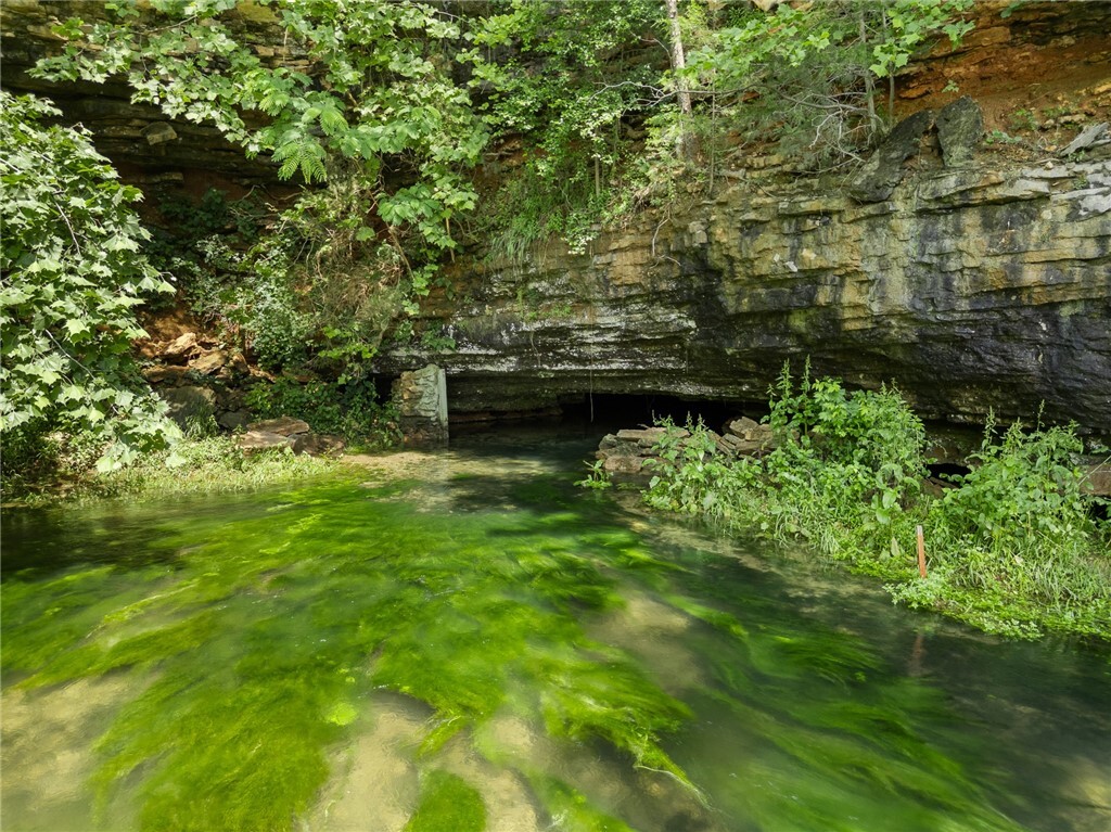 275 Devitos Loop  Harrison AR 72601 photo