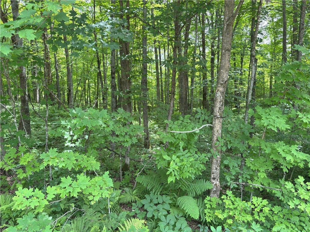 Property Photo:  0 29 1/2 Avenue Street  WI 54817 