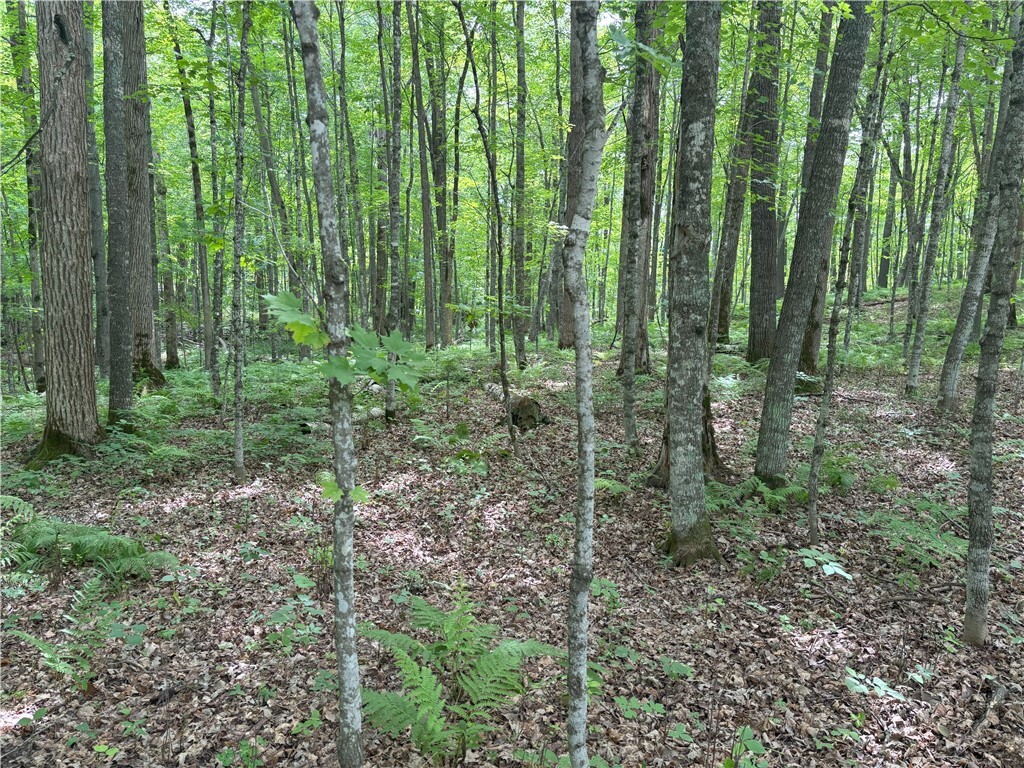 Property Photo: 0 29 1/2 Avenue Street WI 54817