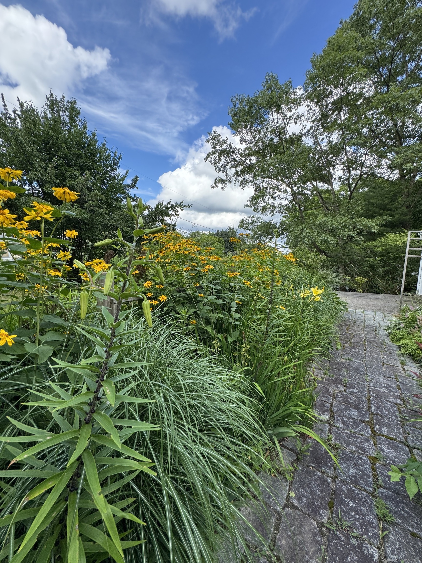 Property Photo: 23 Mountain Road CT 06250