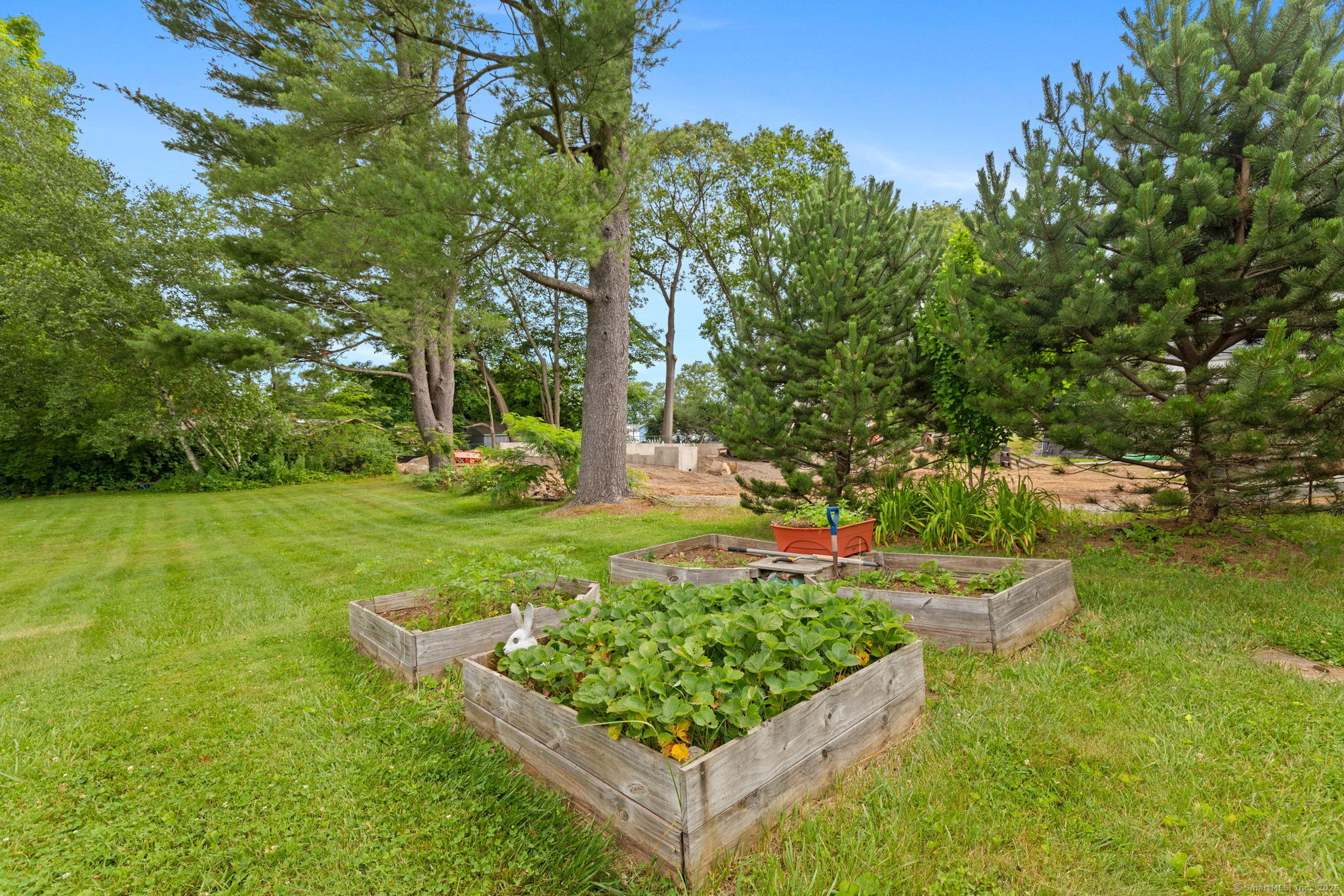 Property Photo:  25 Delmar Drive  CT 06010 