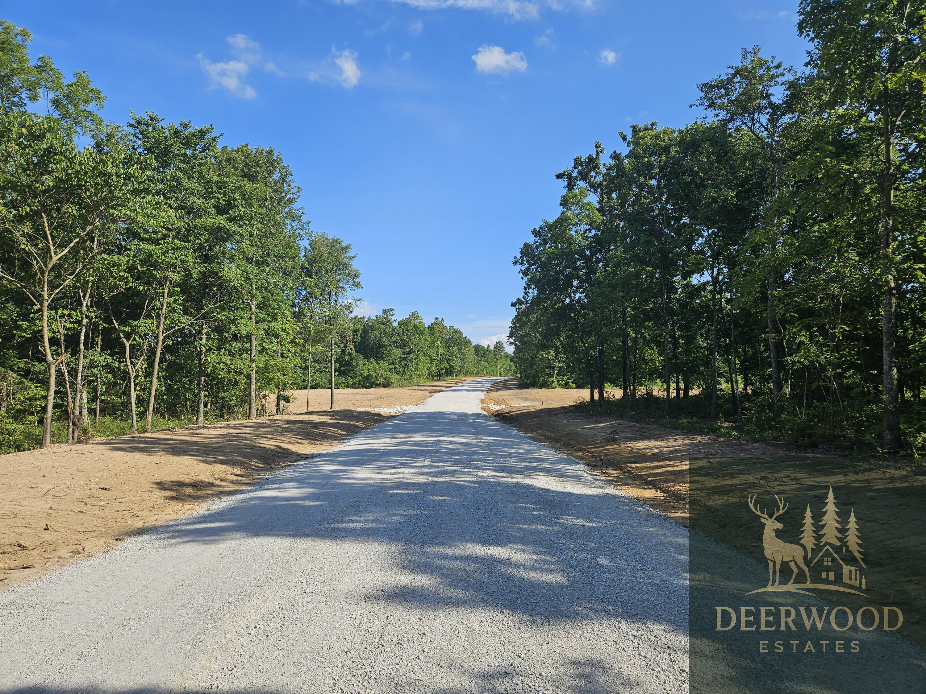 Lot 3 Deerwood Estates  Aurora MO 65605 photo