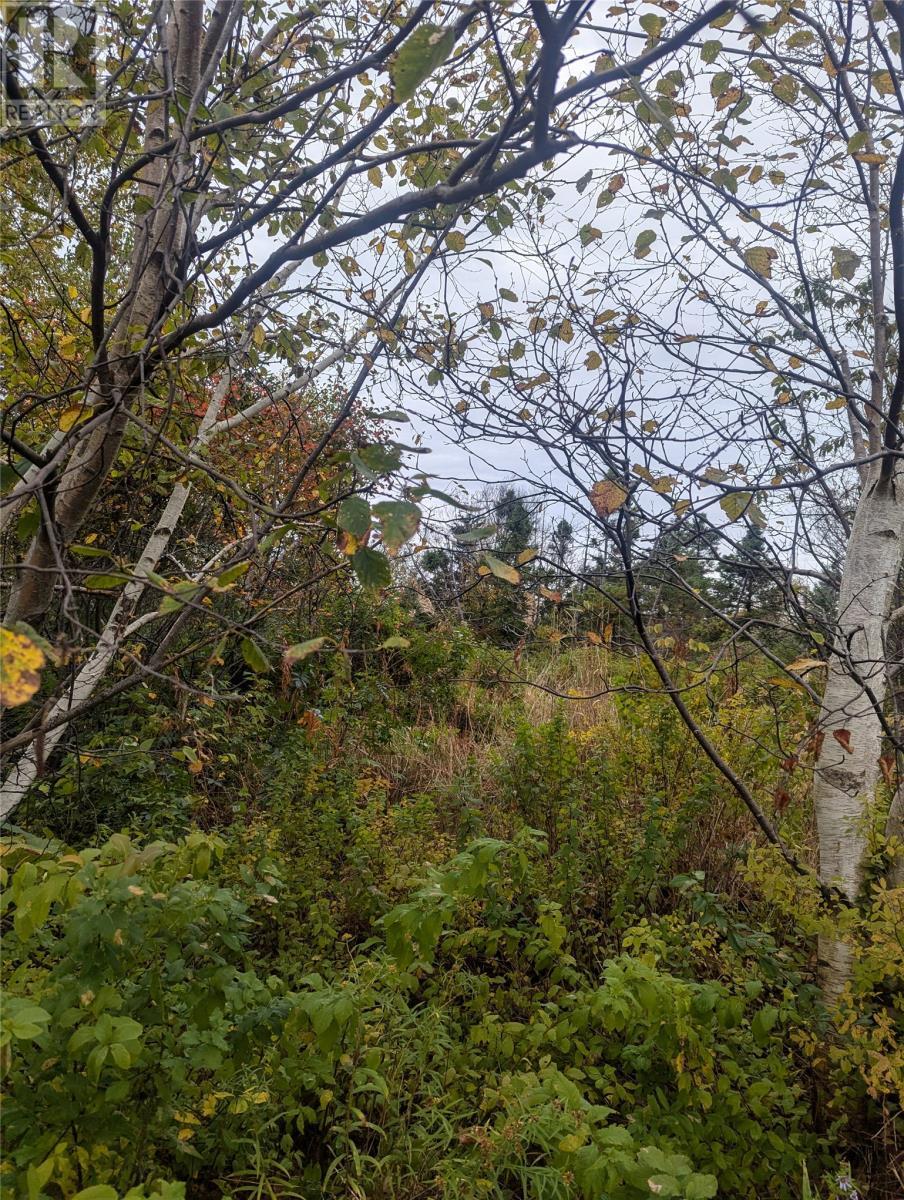 Photo de la propriété:  6-10 Parsons Place  NL A1X 7B9 