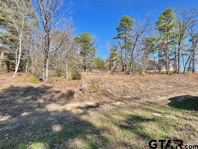 Property Photo: Lot 10 Cr 3545 TX 75765