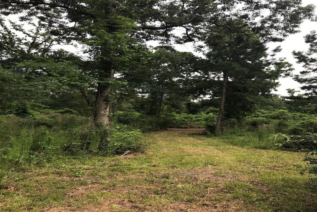 Property Photo: 26150 Grand Pines Road TX 77355