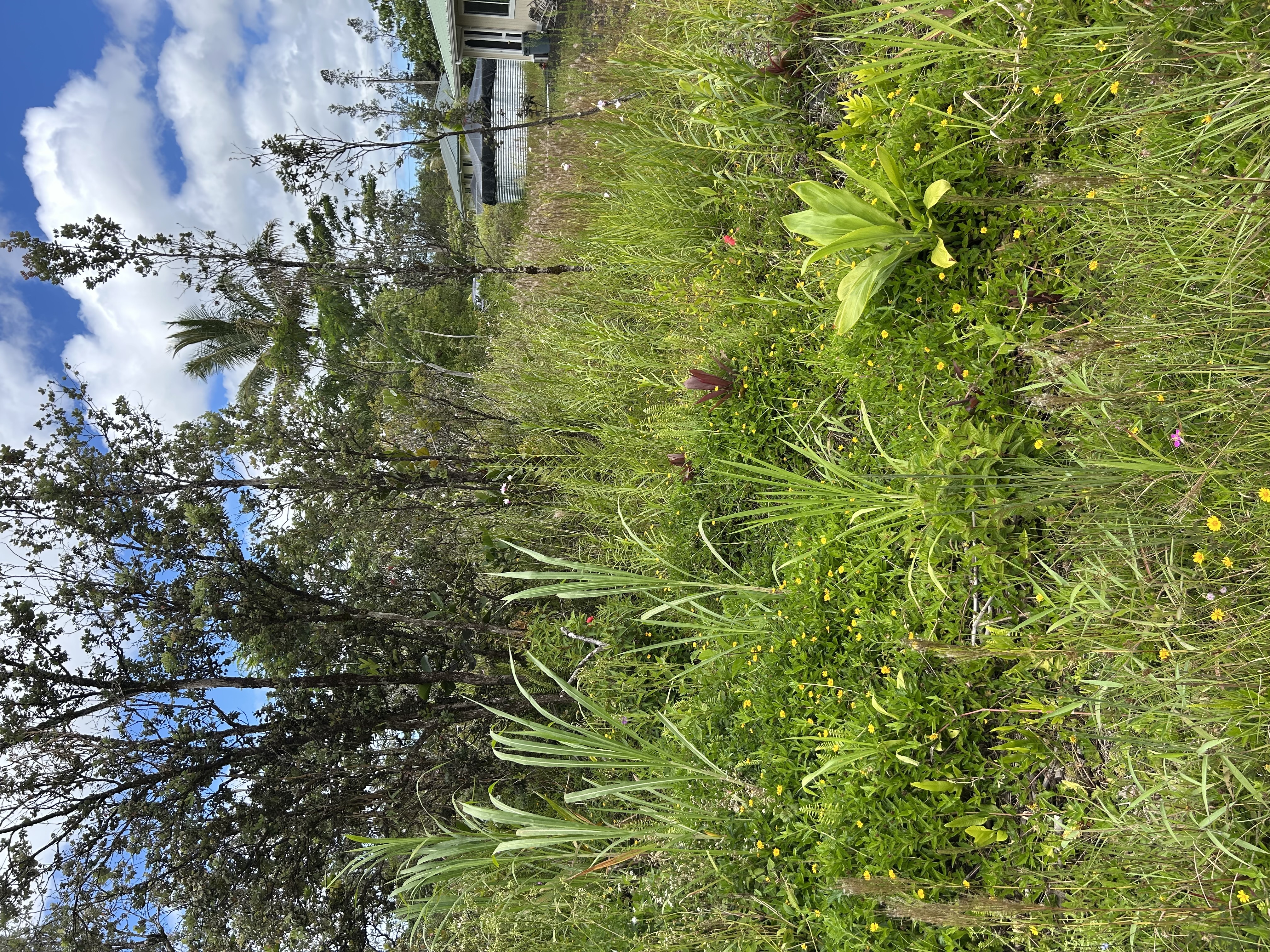 Property Photo: Silversword Dr HI 96778