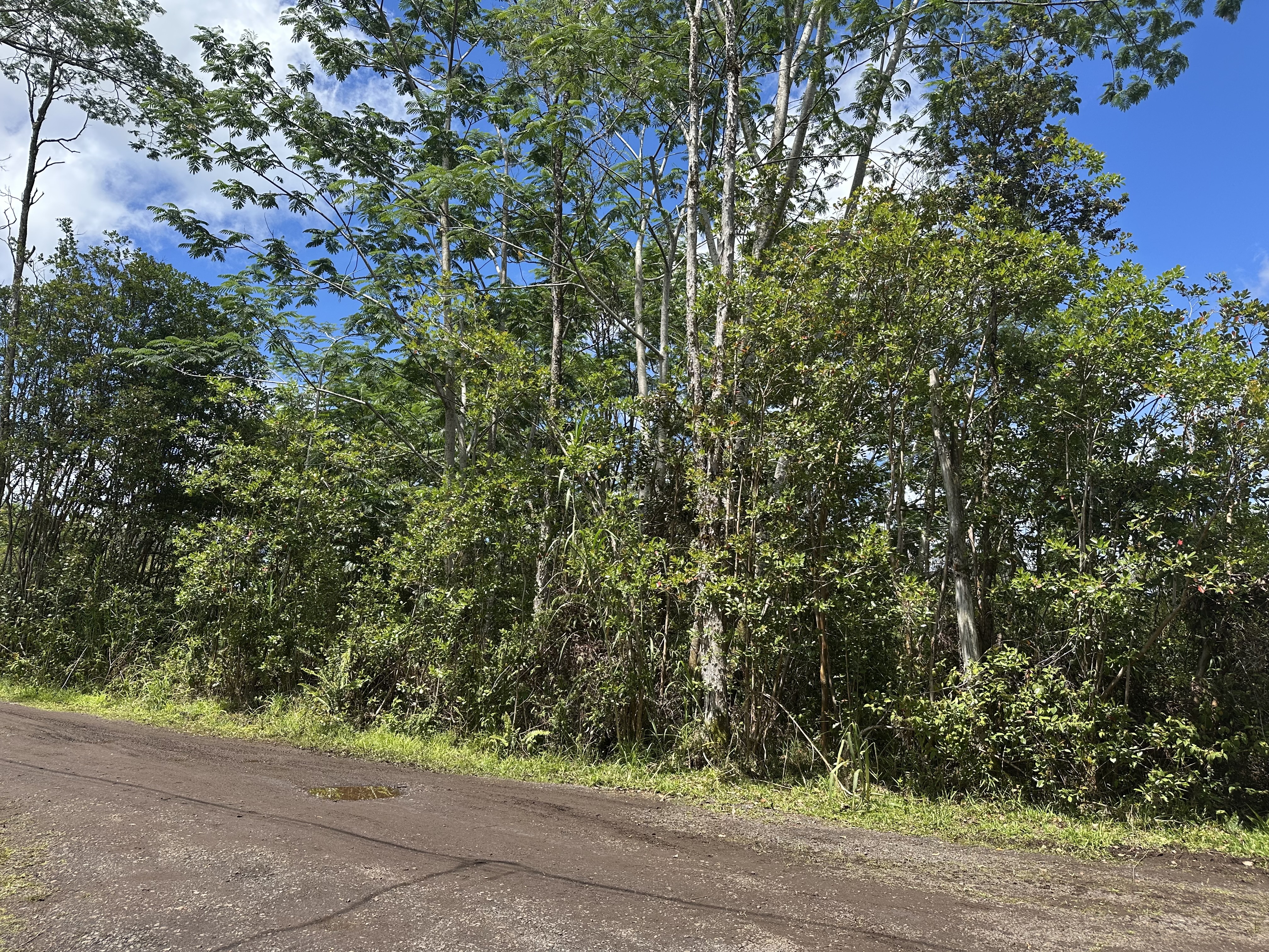 King Kamehameha Blvd  Keaau HI 96749 photo