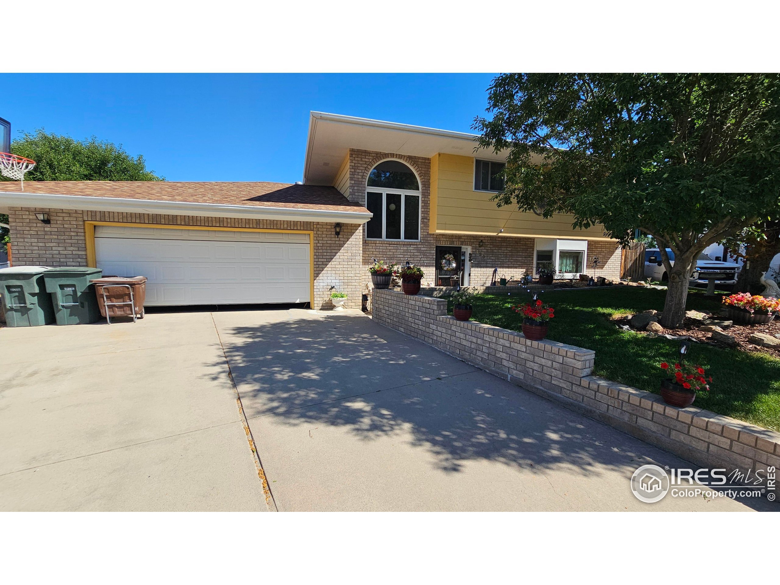 Property Photo:  420 Applewood St  CO 80723 