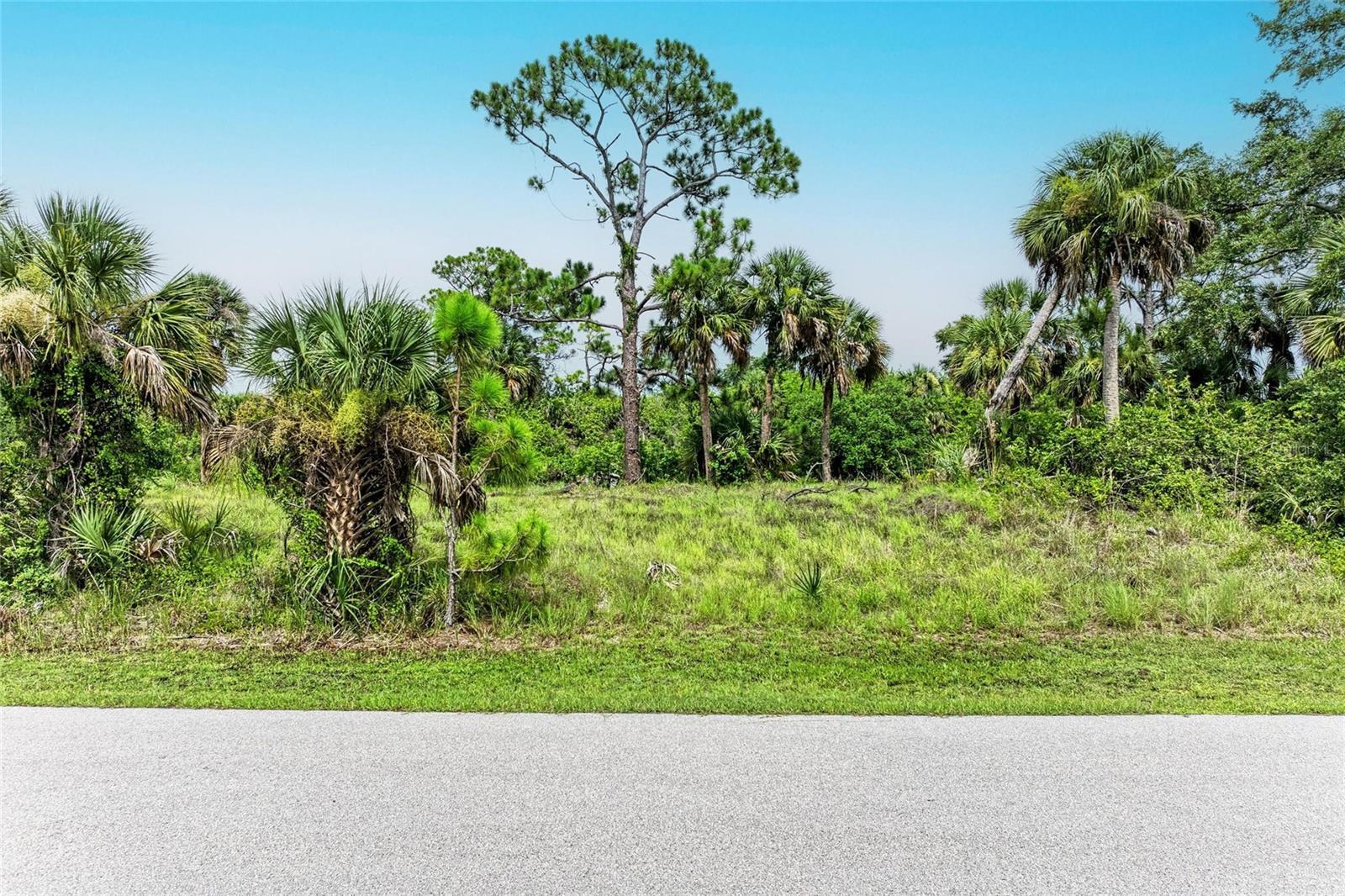 Property Photo:  2296 Hale Street  FL 33953 