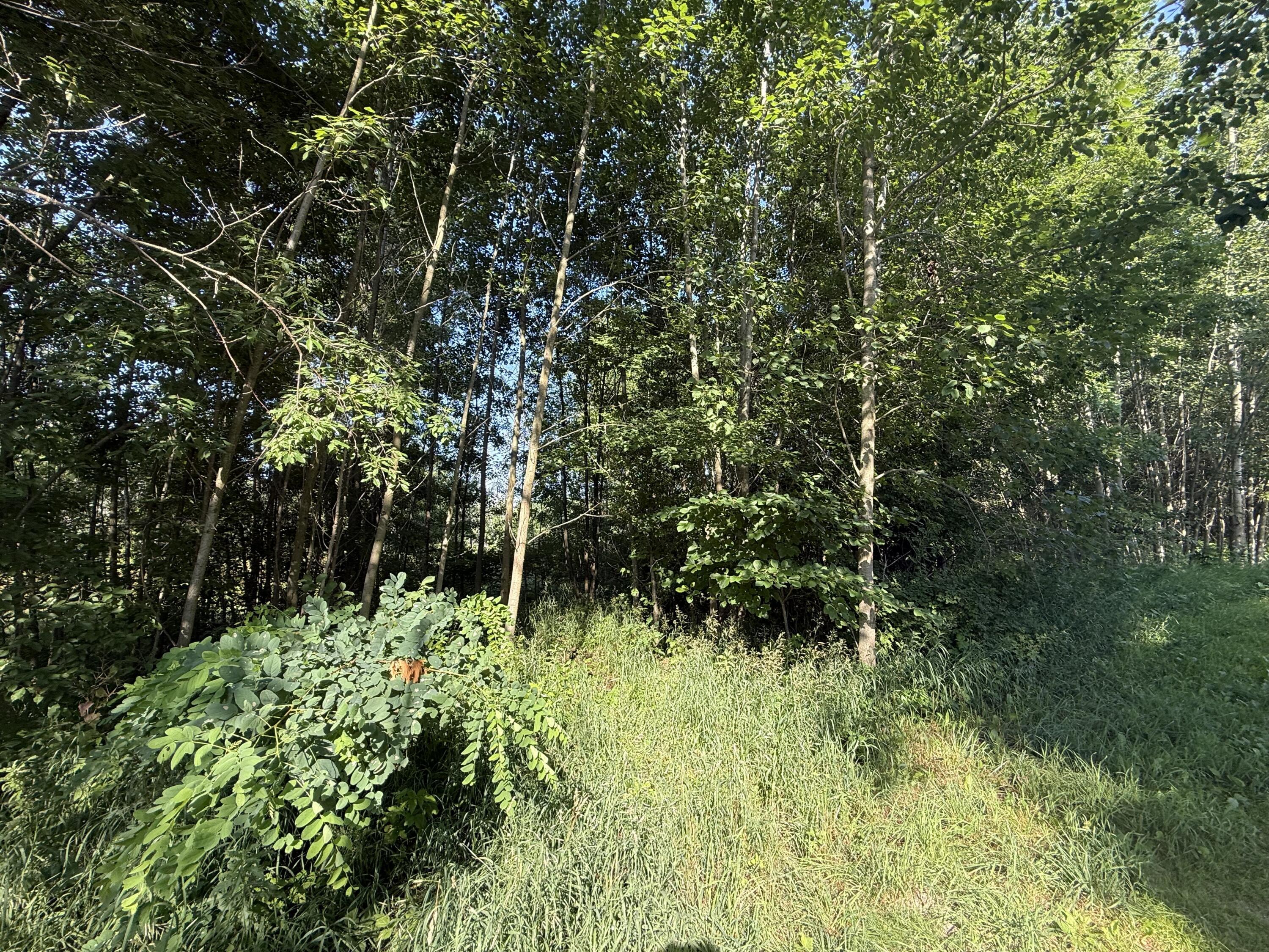 Property Photo:  Tbd W Royal Road  MI 49346 