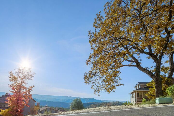 838 Laurel Lane  Murphys CA 95247 photo