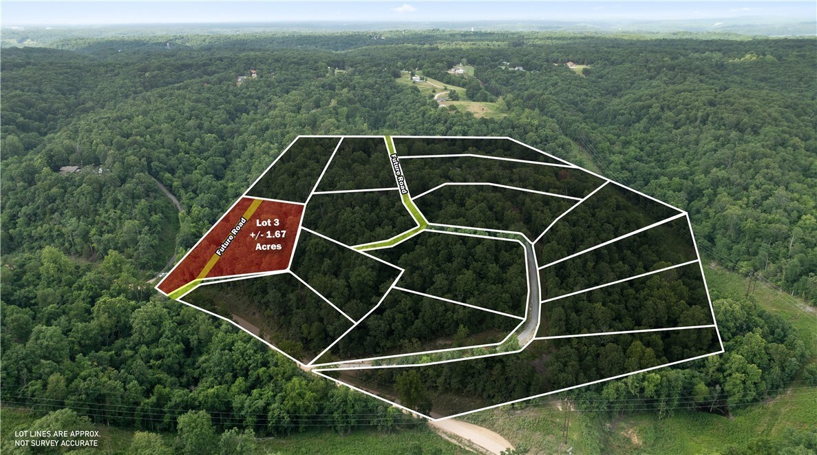 Esculapia Hollow Road Lot 3  Rogers AR 72758 photo