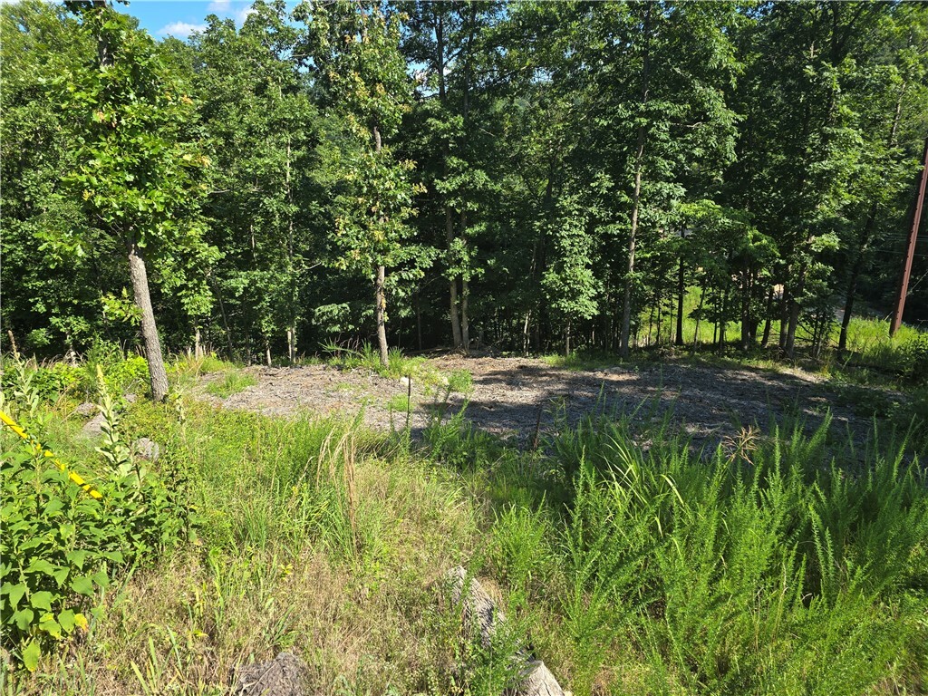 Property Photo:  Esculapia Hollow Road Lot 9  AR 72758 