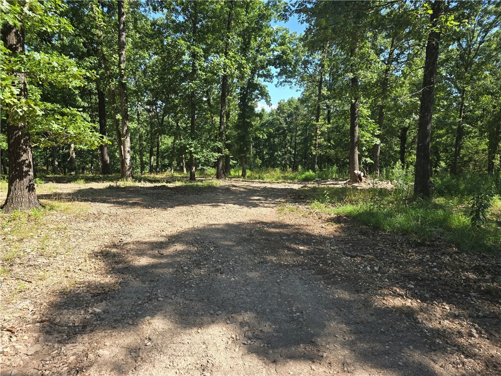 Property Photo:  Esculapia Hollow Road Lot 4  AR 72758 