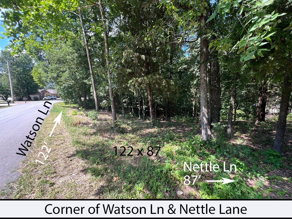 Property Photo:  Nettle Lane  AR 72714 