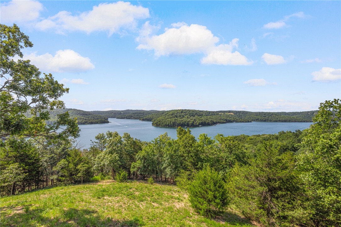 Property Photo:  444 Beaverview Drive  AR 72631 