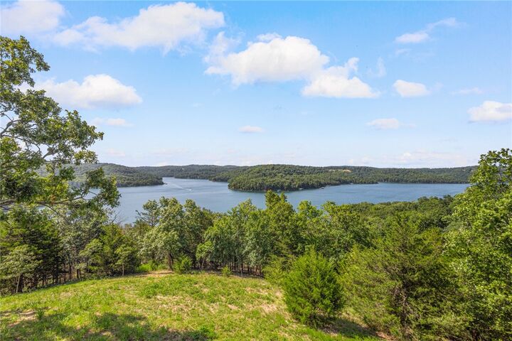 Property Photo:  444 Beaverview Drive  AR 72631