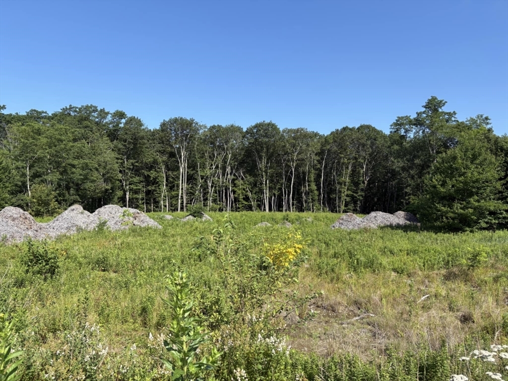 Property Photo:  193 Paxton Street  MA 01524 